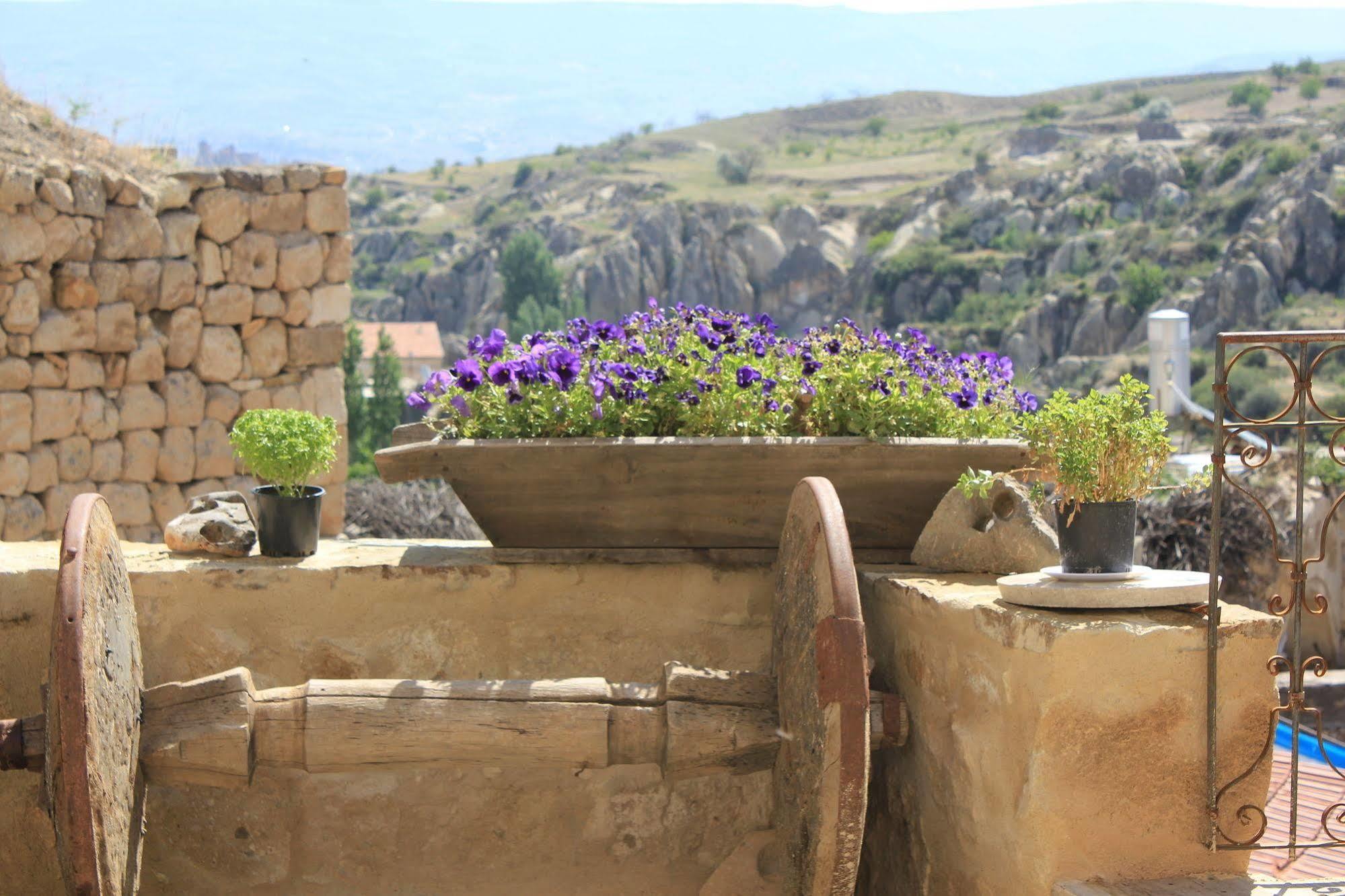 Anitya Cave House Apart Hotel Ortahisar Exterior foto